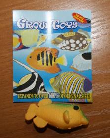 Expanding toys - Grow toys