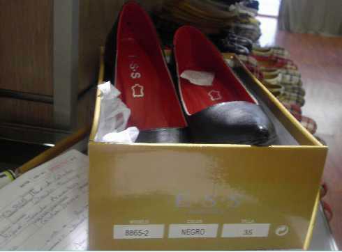 Ladies' shoes