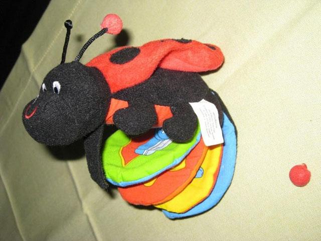 Ladybird picture book - Marienkäfer