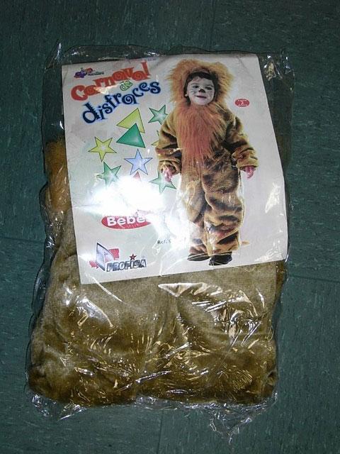 Fancy dress costume, lion - Carnaval de disfraces
