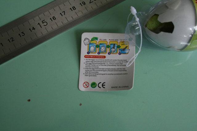 Expanding dinosaur egg - Grow toys - Growing Hatching Egg