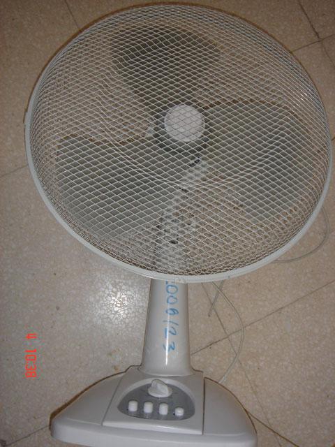 Electric fan