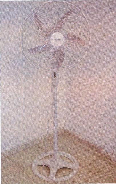 Electric fan
