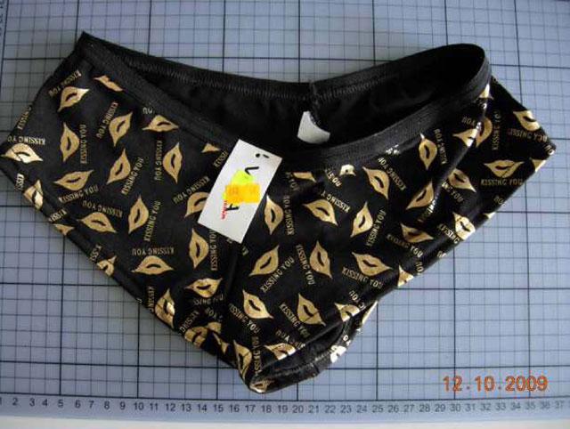 Briefs
