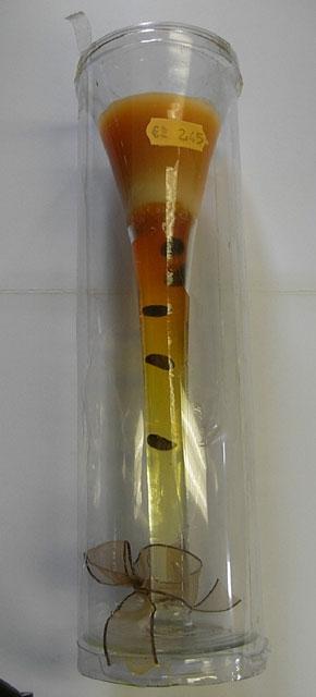 Candle in a glass container