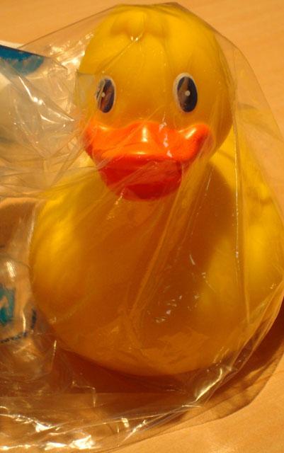 Plastic bath toy - Squeaky Duck