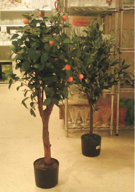 Tree with leaves and fruits