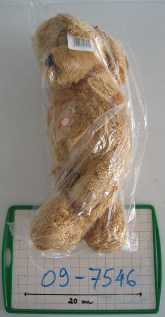 Teddy bear