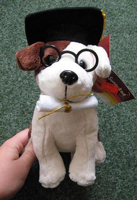Plush dog - Hanya