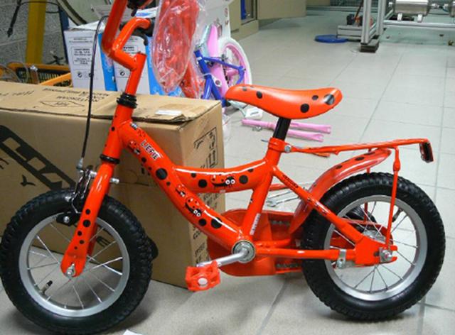 Bicycle for young children - Liefie bicycle