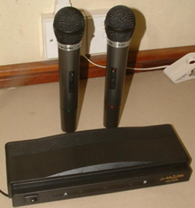 Wireless Microphone Set