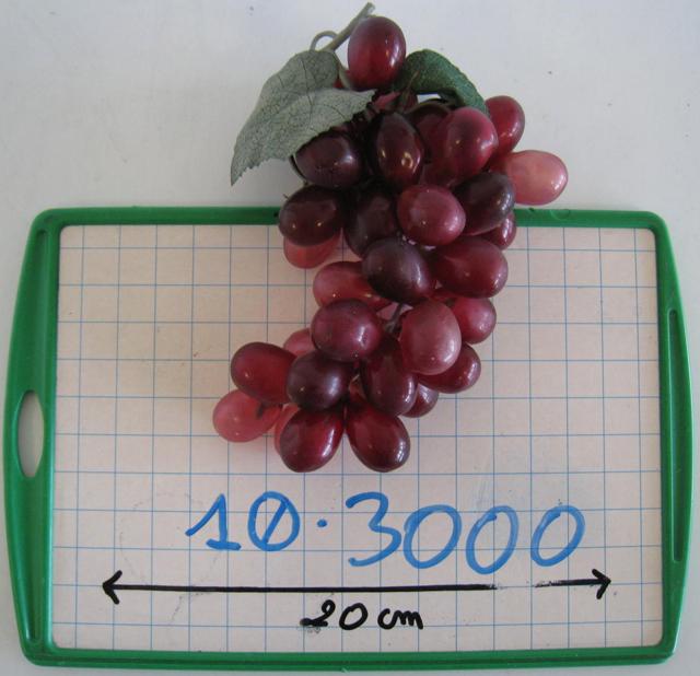 Bunch of grapes
