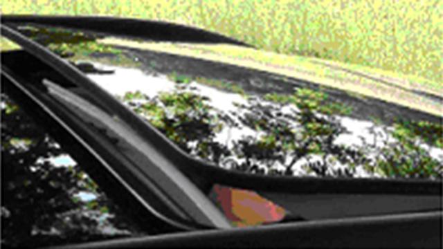 Sun roof - Hollandia