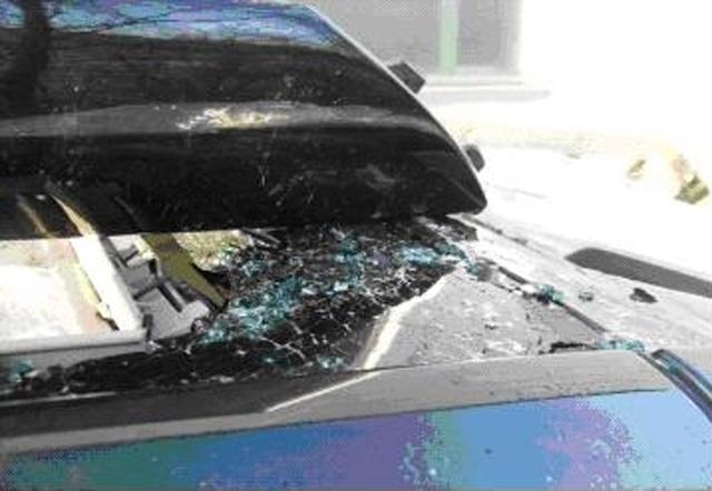 Replacement windscreen clips