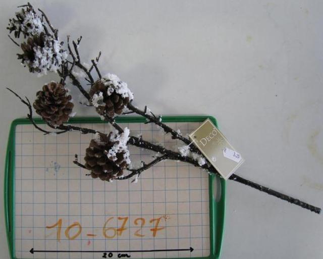 Decorative branches with pine cones