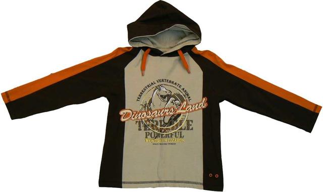 Hooded sweatshirt