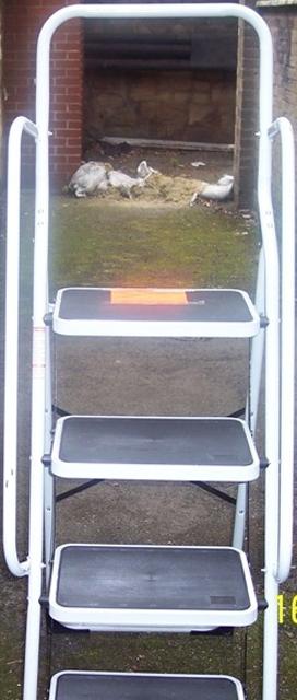 Ladder "Genius 4 step safety ladder"