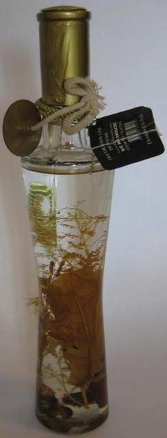 Glass oil lamp