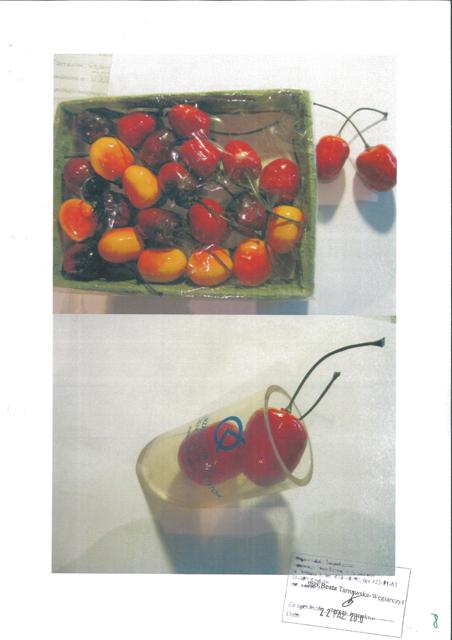 Decorative cherries "Czeresnia" (cherries)