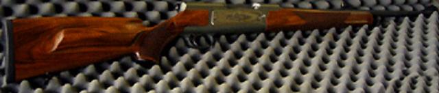 Rifle RS05