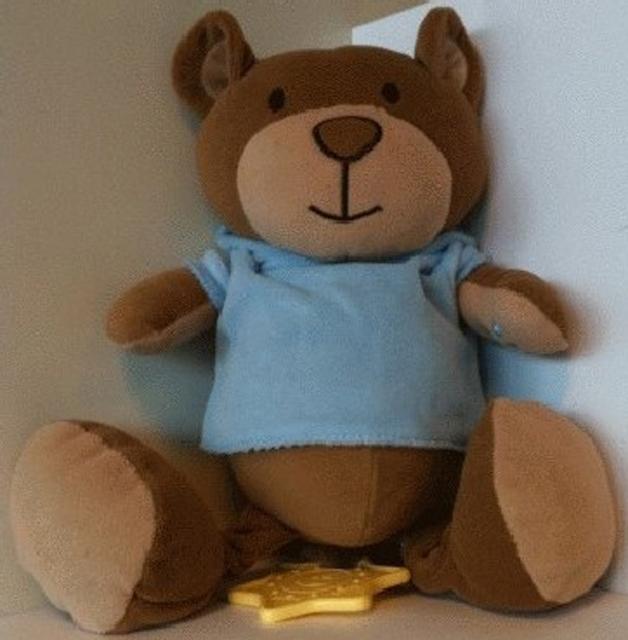 Musical teddy bear