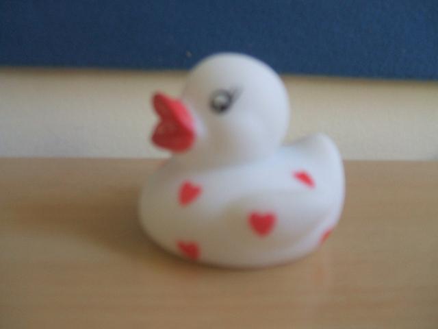 Flashing toy duck "Love Duck"