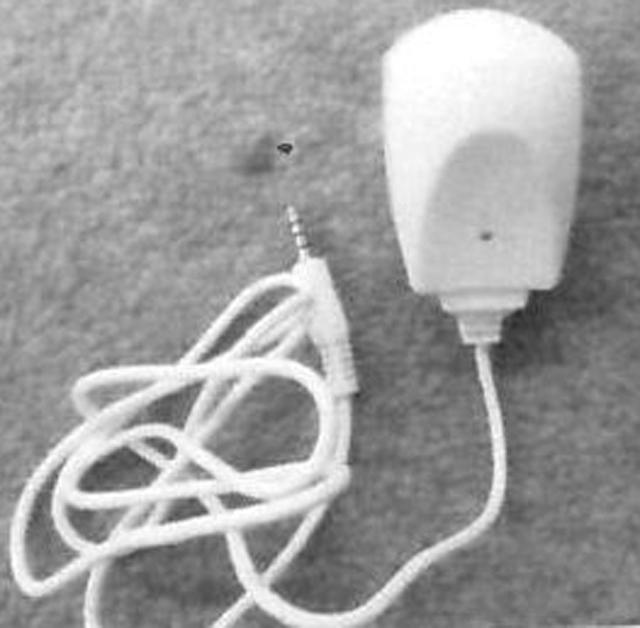 Charger "Home Charger"