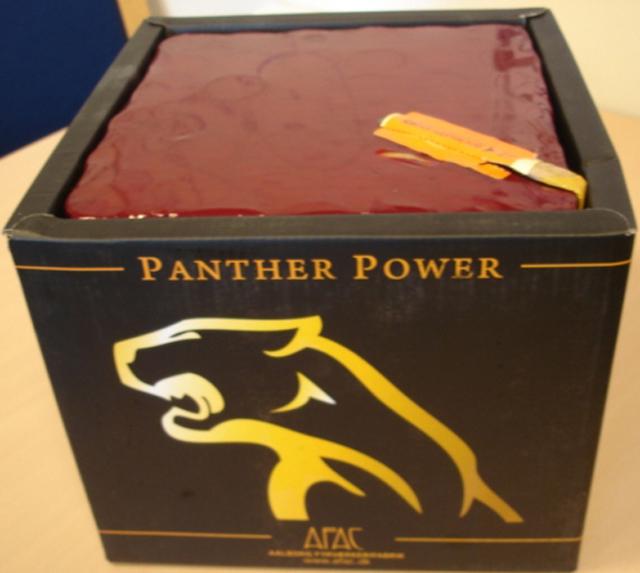 Fireworks "Panther Power battery 49 shots"