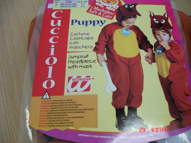 Fancy-dress costume