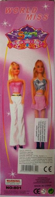 Plastic doll with accessories