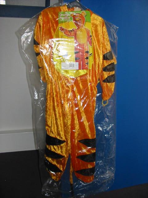Fancy dress outfit