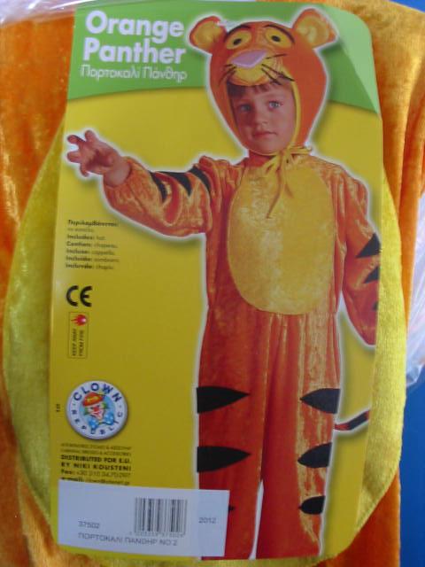 Fancy dress outfit