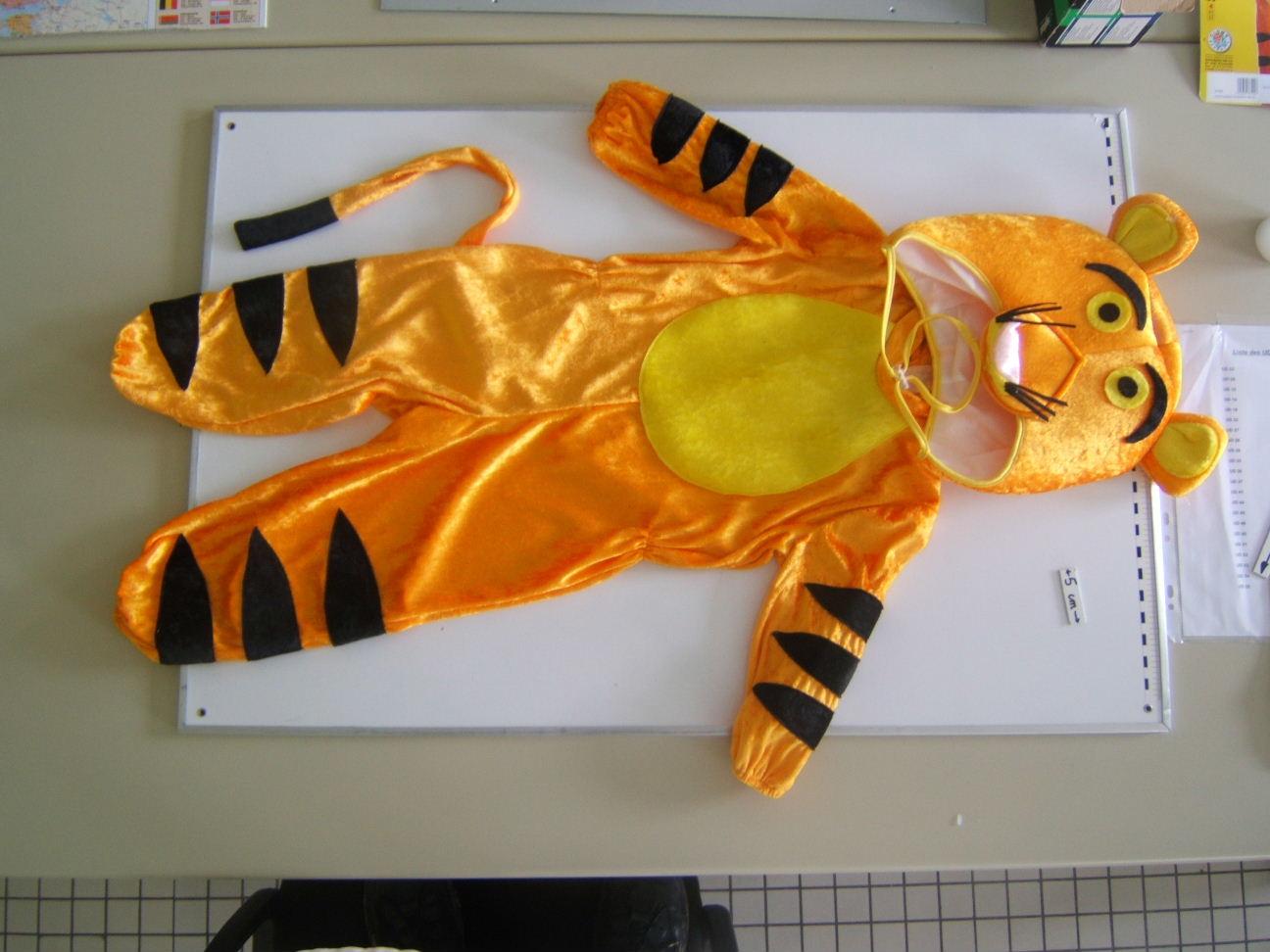 Fancy dress outfit