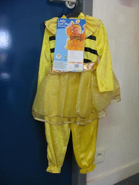Fancy dress outfit