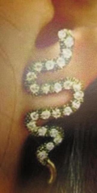 Earrings