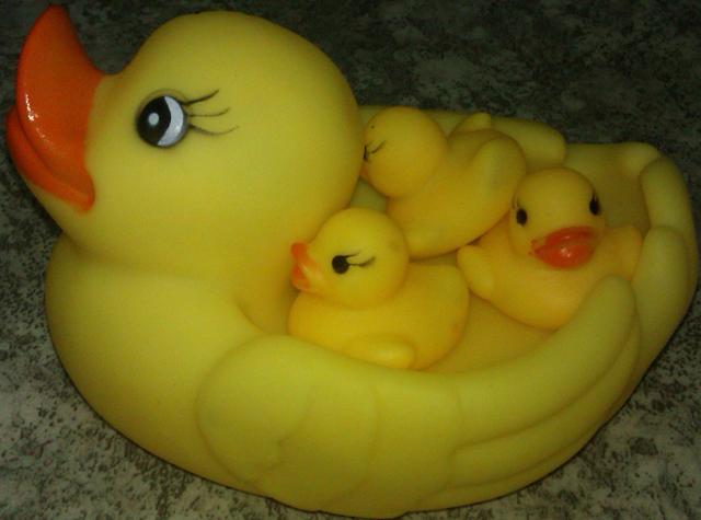 Plastic ducks