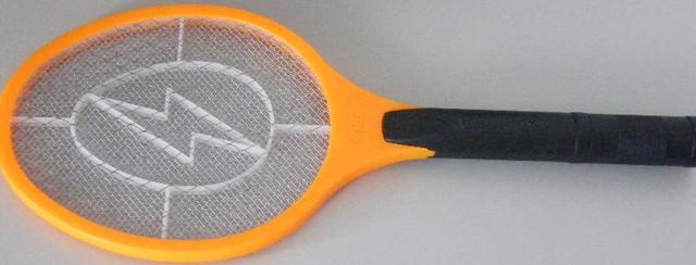 Electric flycatcher