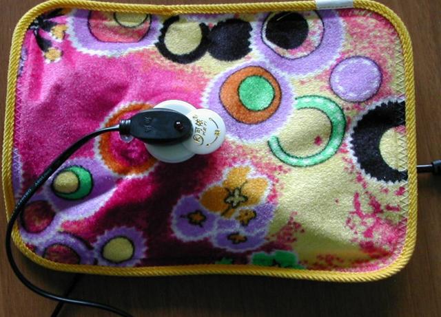 Electric hot water bag