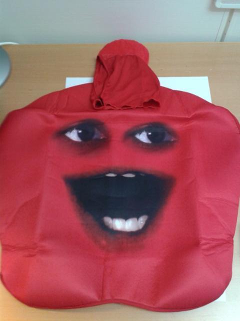 Fancy dress costume