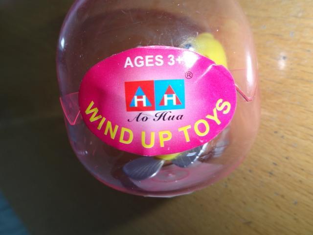 Wind-up toy