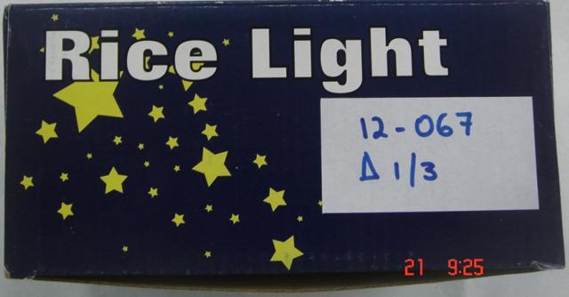 Christmas LED lighting chain