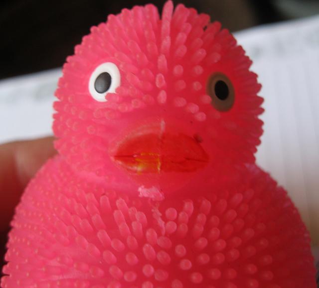 Plastic toy