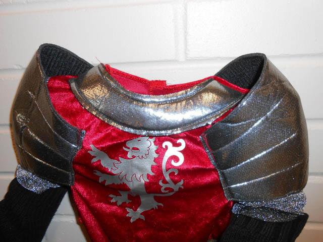 Fancy dress costume