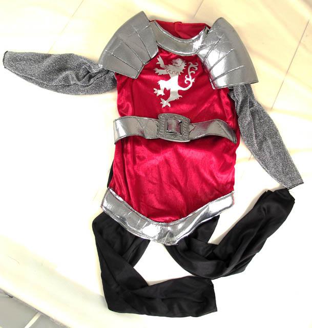 Fancy dress costume