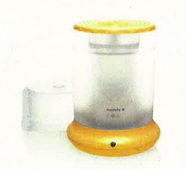 Electric steriliser