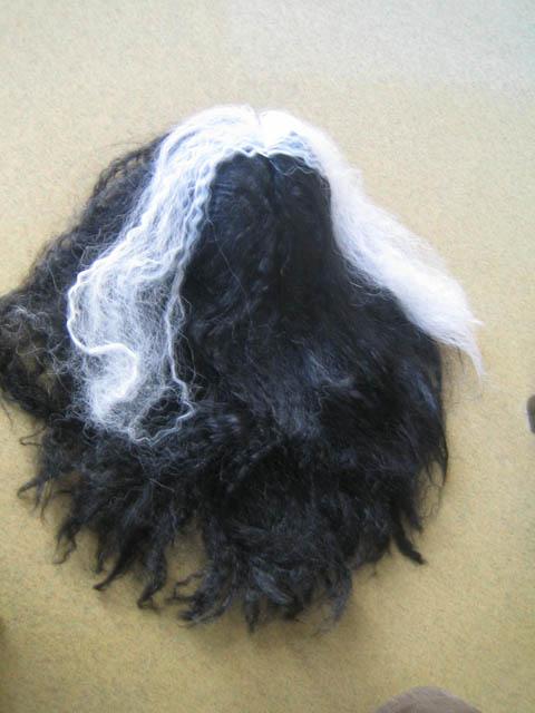 Fancy dress wig