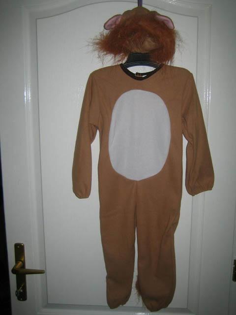 Fancy-dress costume